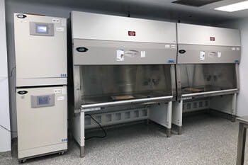 Setting Up the Lab